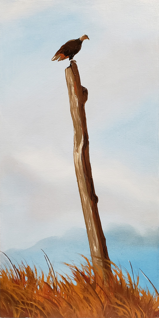 Bald Eagle, Oil on canvas, 12 x 24