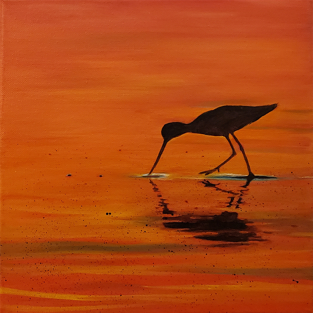 Long-billed Dowitcher Silhouette, Oil on canvas, 12 x 12