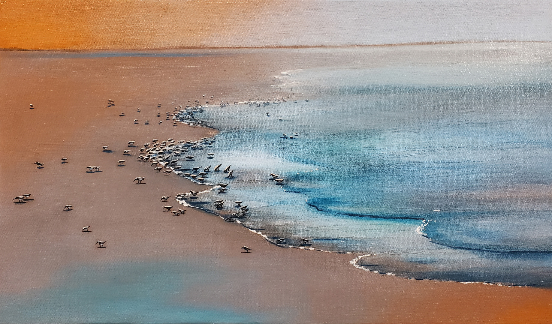 Western Sandpiper Flock, Oil on canvas, 24 x 14