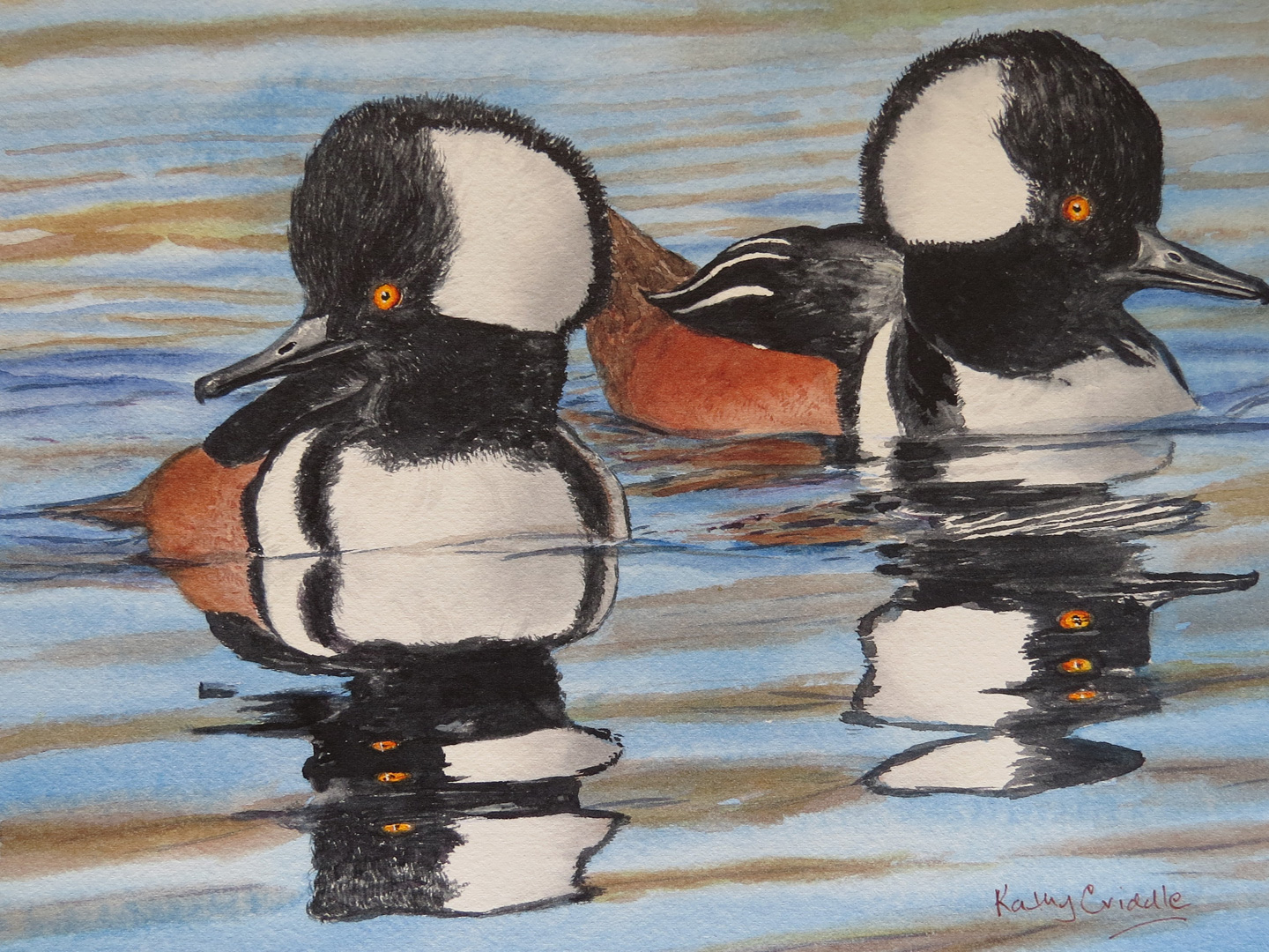 Hooded Mergansers, Watercolor on paper, 11 x 9