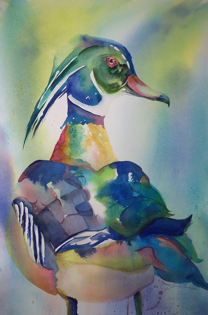 A Colorful Wood Duck, Watercolor on paper, 20 x 27