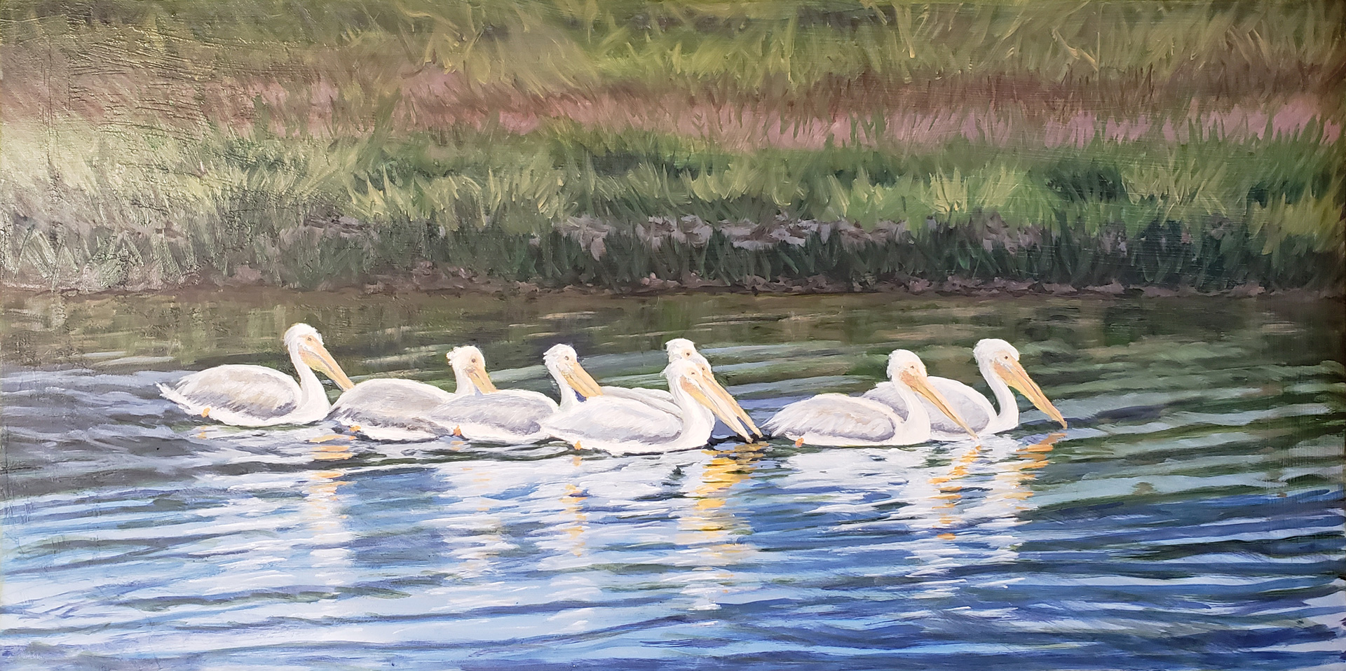 Pelicans, Oil on board, 24 x 18