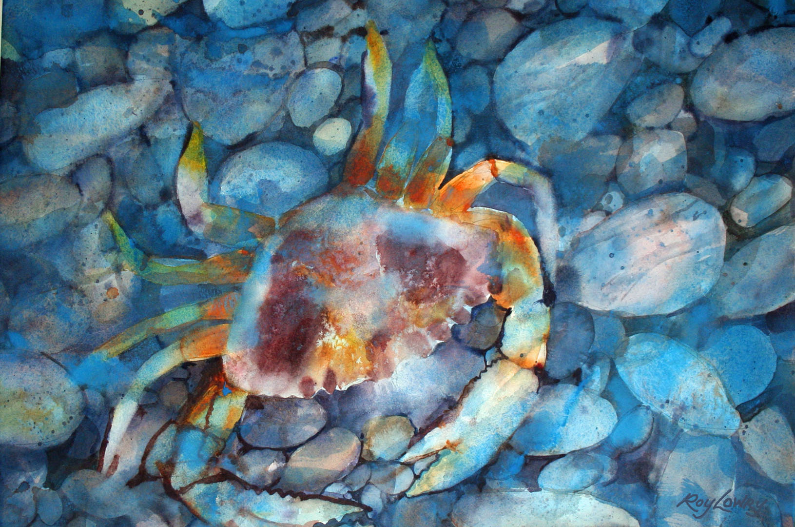 Blue Crab, Watercolor on paper, 22 x 15