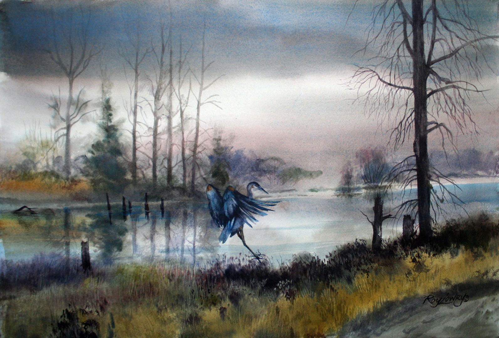 Heron Landing, Watercolor on paper, 22 x 15