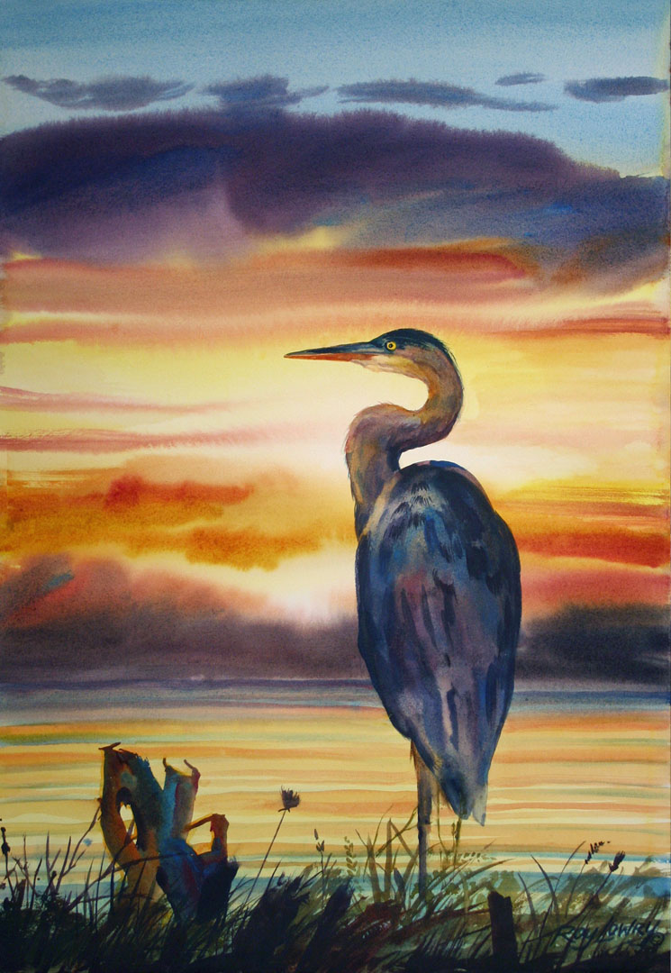 Morning Heron, Watercolor on paper, 15 x 22