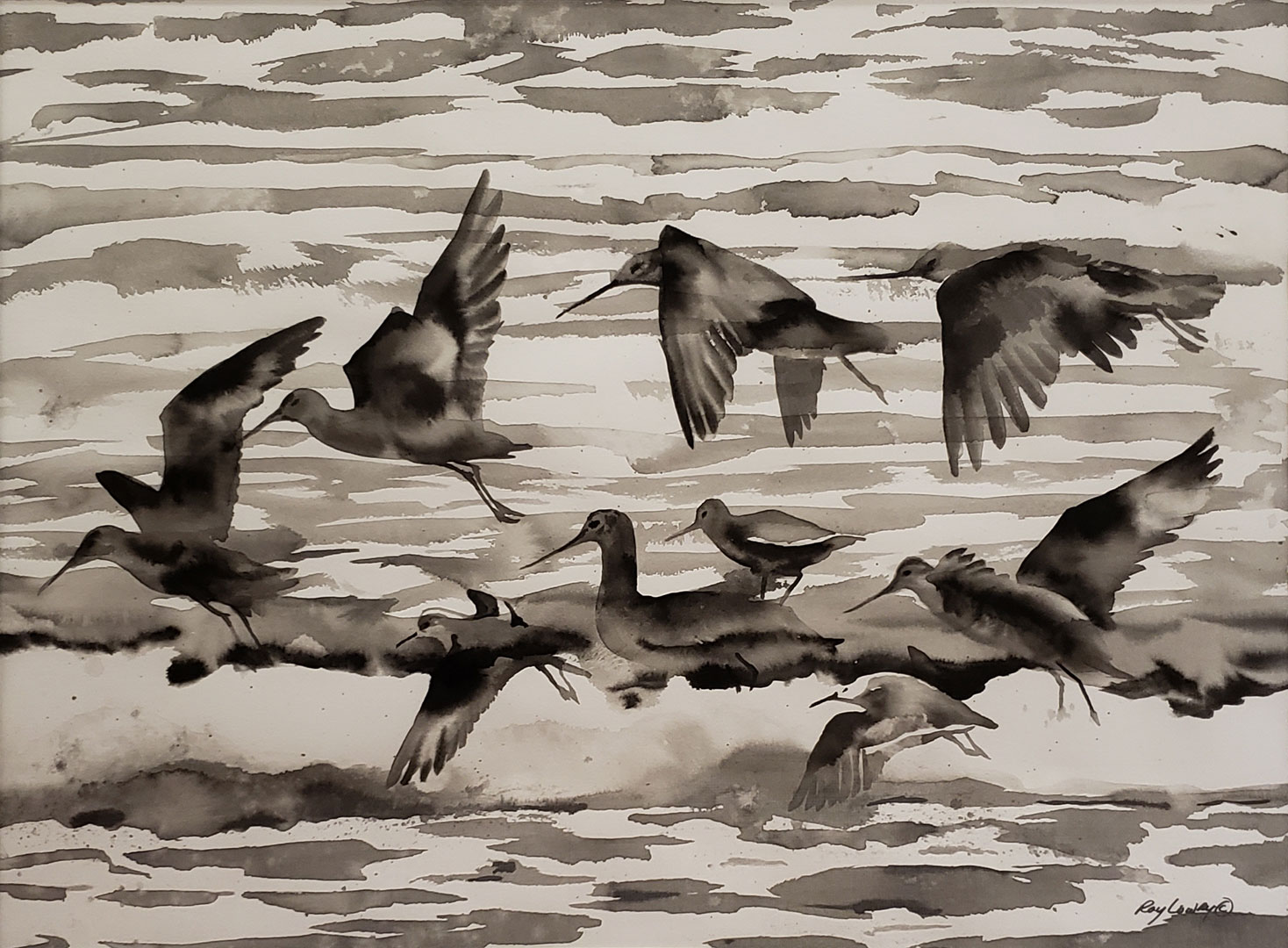 Shorebirds, Ink on paper, 30 x 22