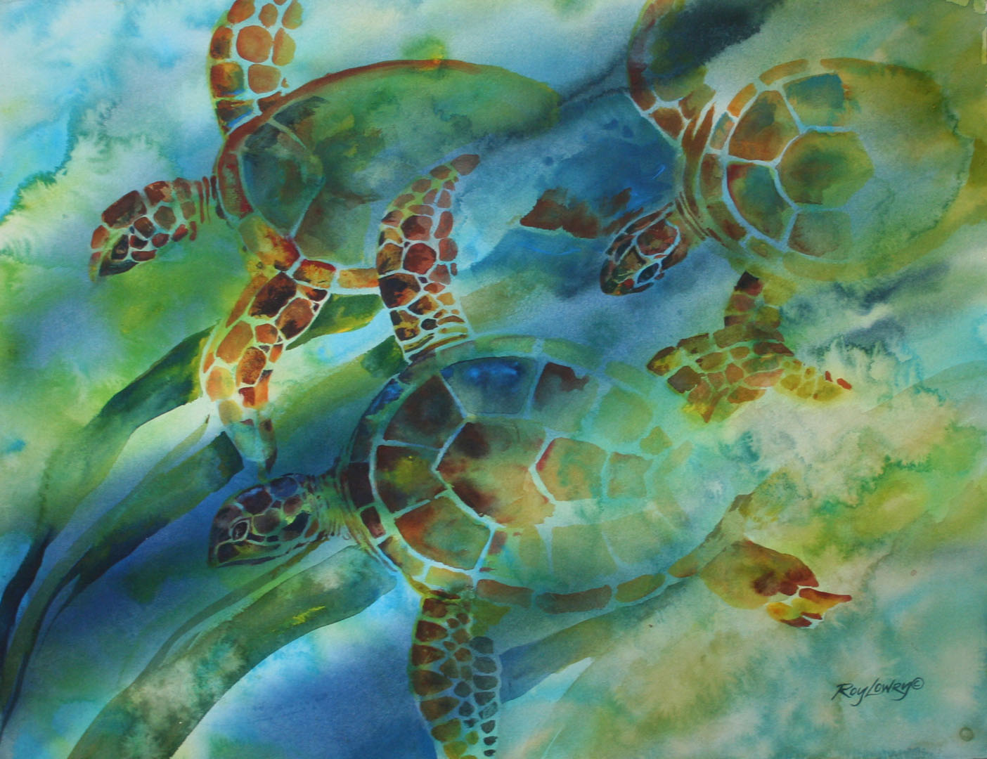 Turtle 3, Watercolor on paper, 24 x 20