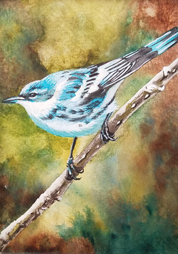 Indigo Bunting, Watercolor, 5x7