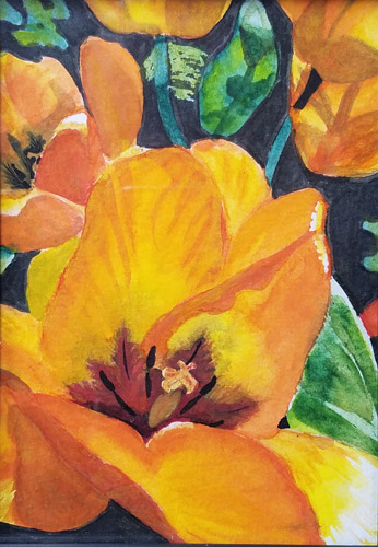 Orange Tulips, Watercolor, 5x7