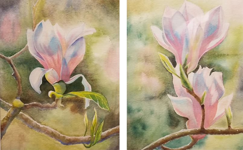 Magnolias, Watercolor, 8x10 (pair)