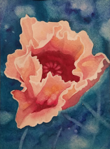 Pink Poppy, Watercolor, 24x36