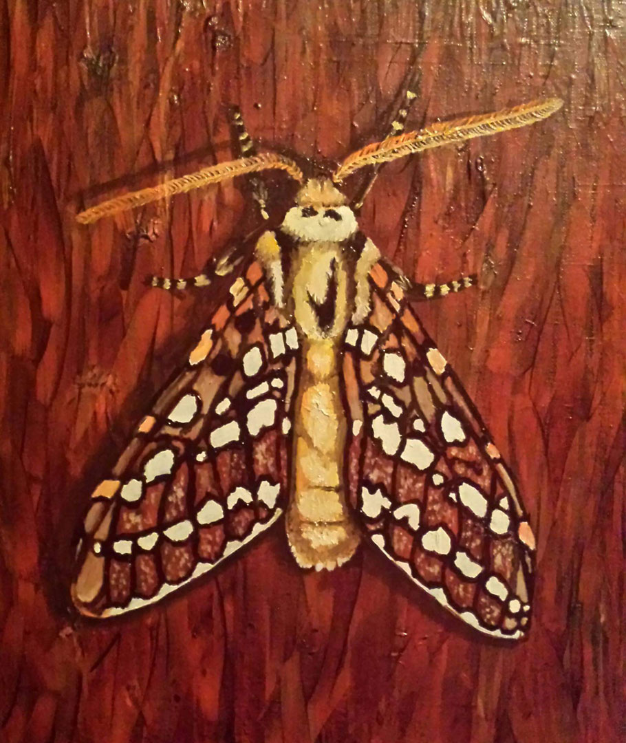 Entomology I, Oil on canvas, 16 x 20