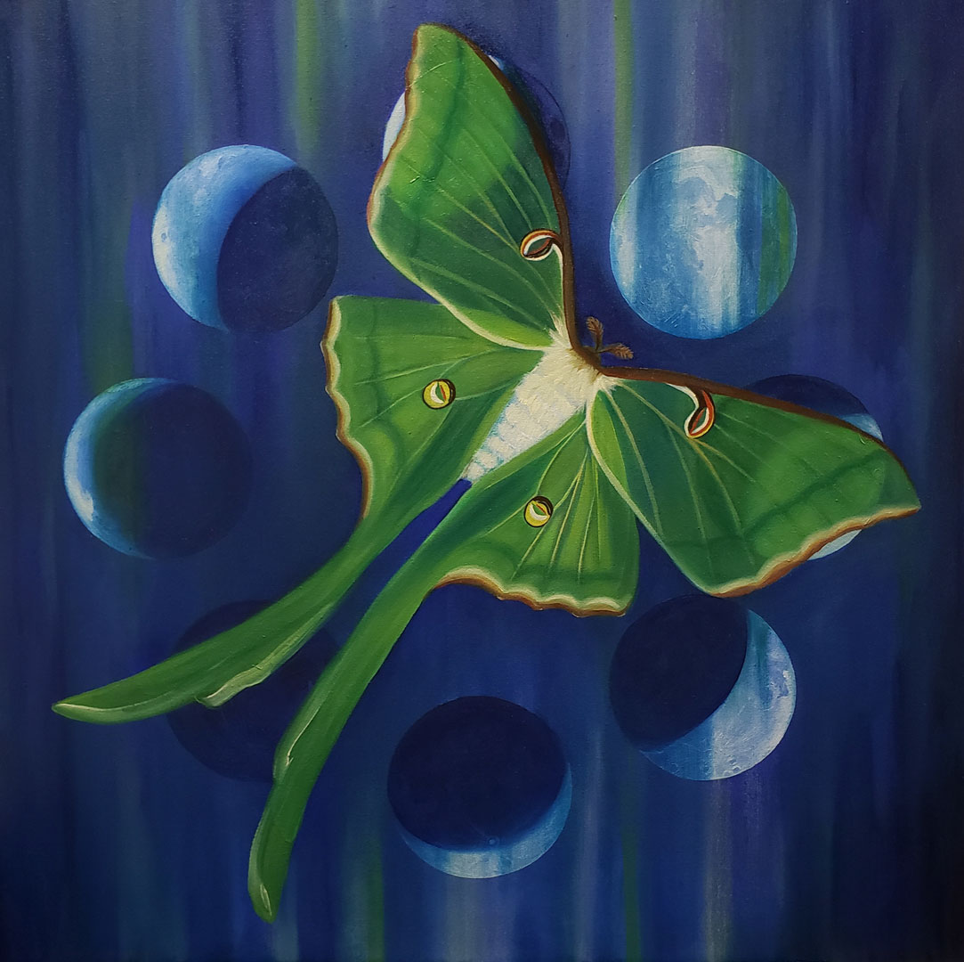 Entomology II, Oil on canvas, 32 x 32