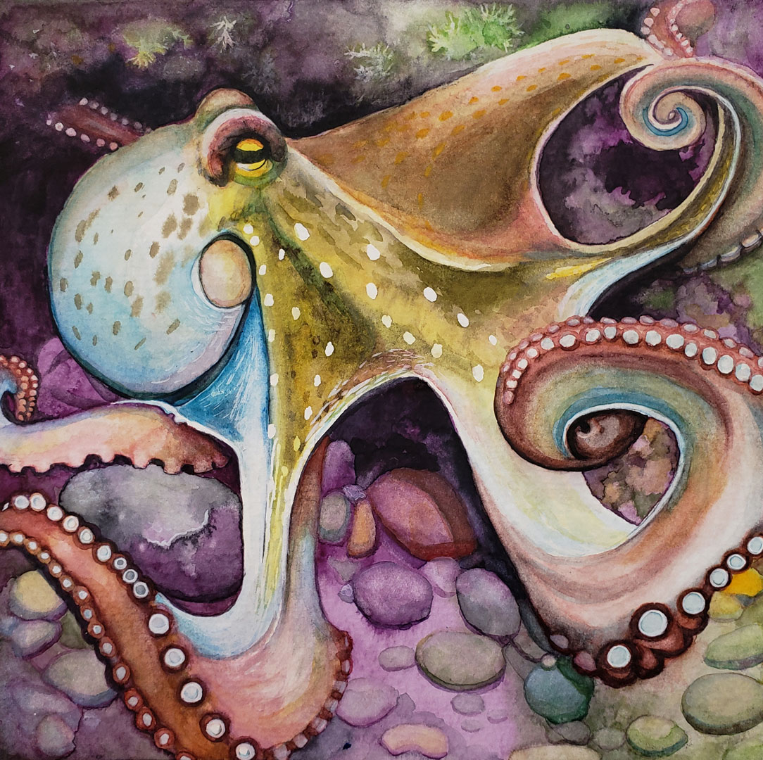 Malacology IV, Watercolor on paper, 8 x 8