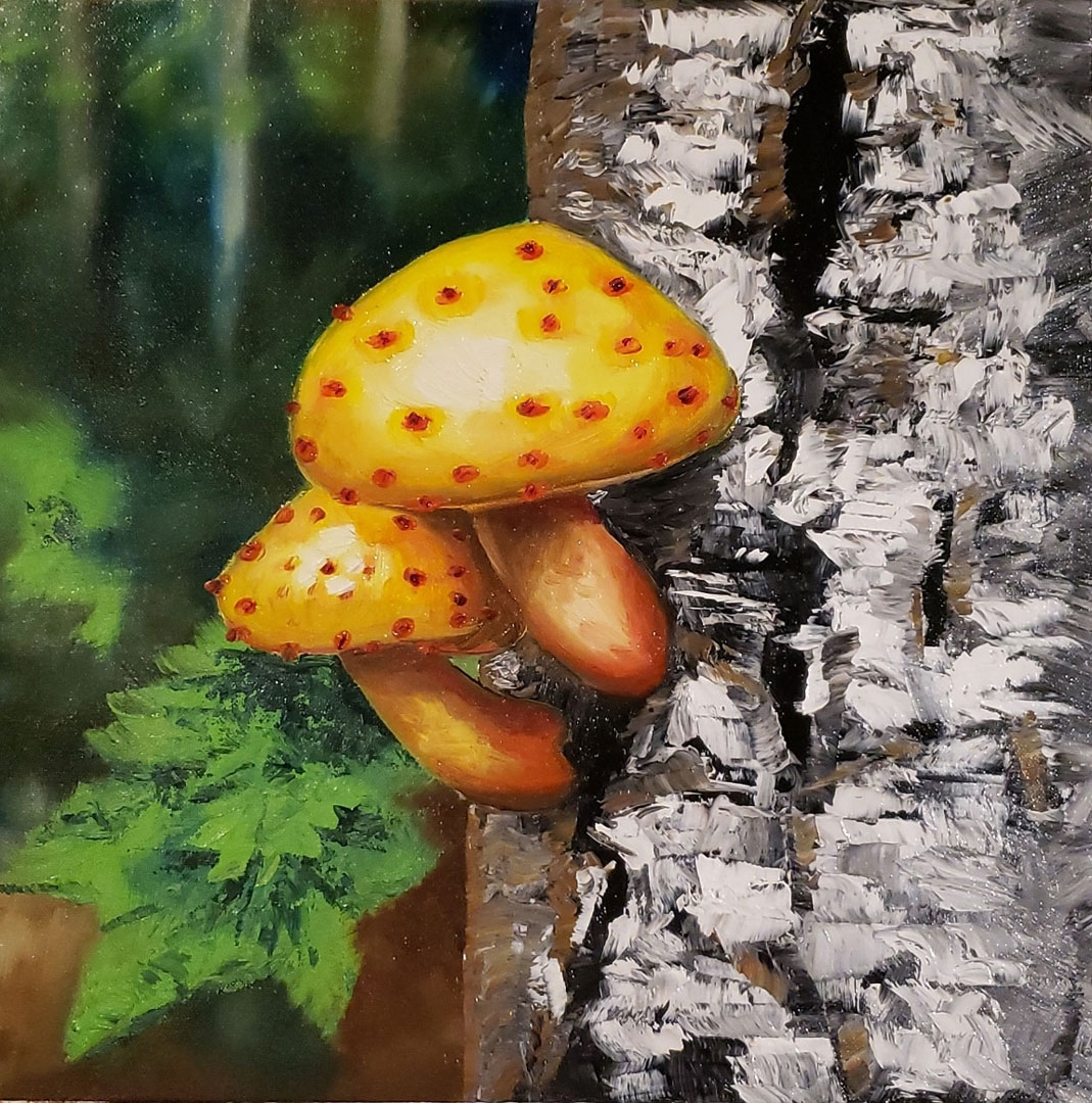 Mycology III, Oil on canvas, 16 x 16