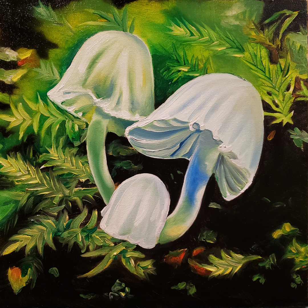 Mycology V, Oil on canvas, 16 x 16