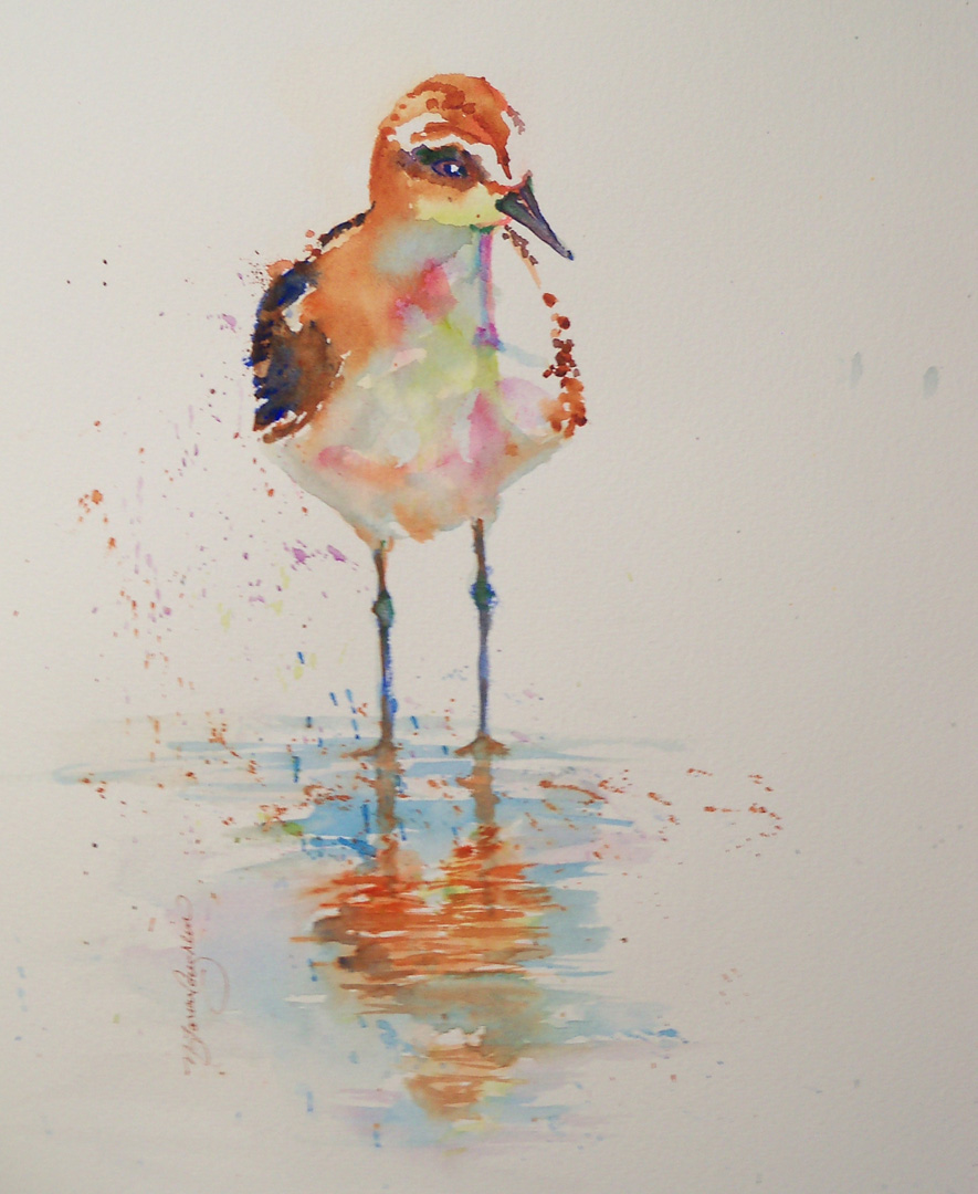 A Little Sandpiper, Watercolor on paper, 11 x 14