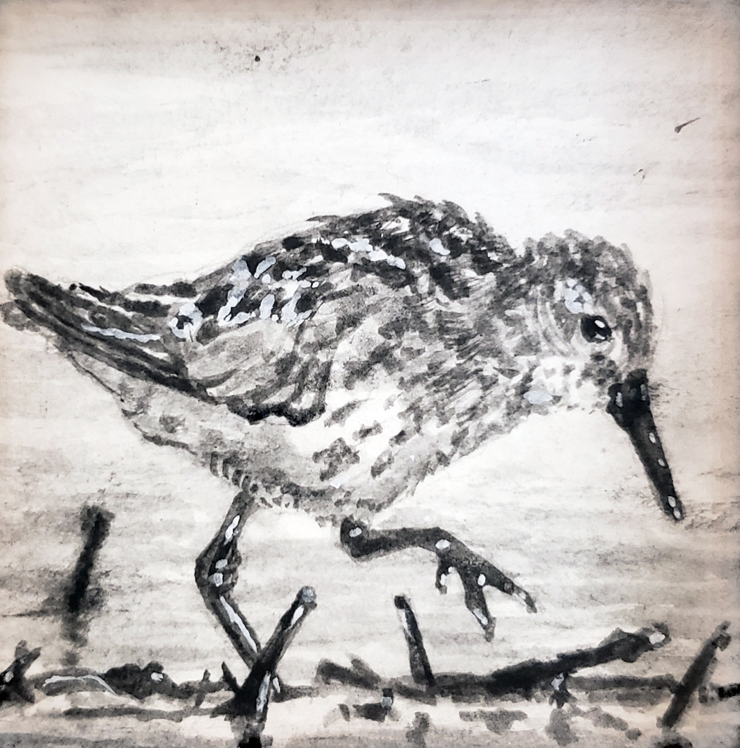 Sandpiper II, Charcoal wash on paper, 3 x 3