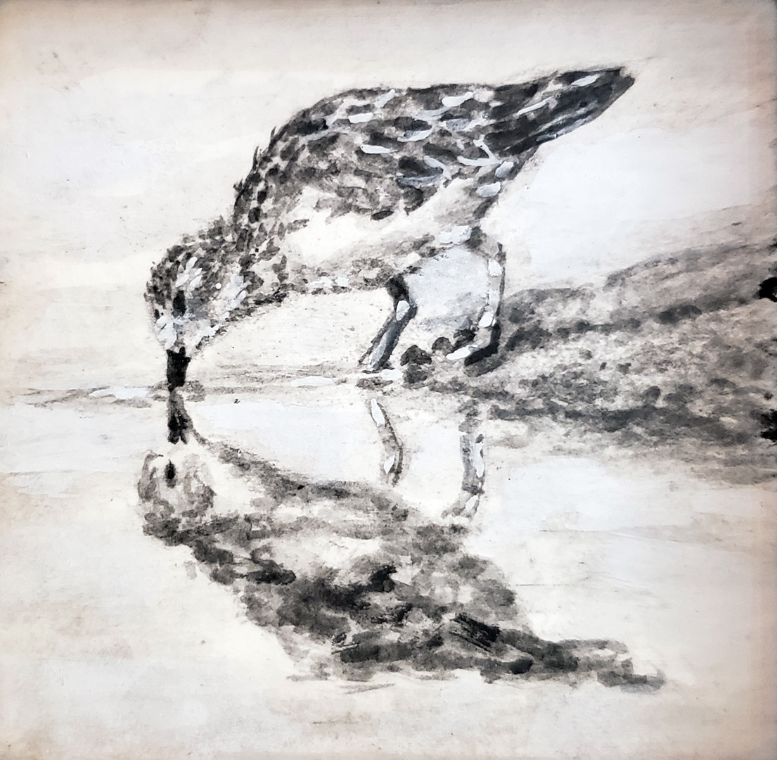 Sandpiper III, Charcoal wash on paper, 3 x 3