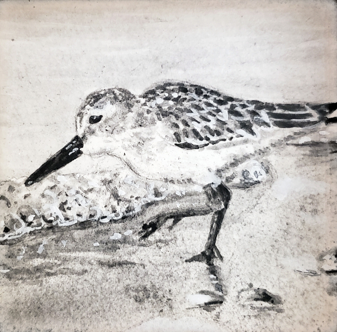 Sandpiper IV, Charcoal wash on paper, 3 x 3