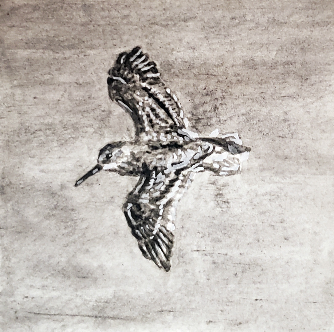 Sandpiper VII, Charcoal wash on paper, 3 x 3
