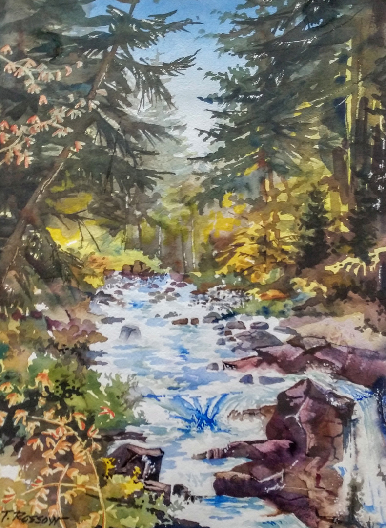 Sol Duc Falls, Watercolor on paper, 11.5 x 15